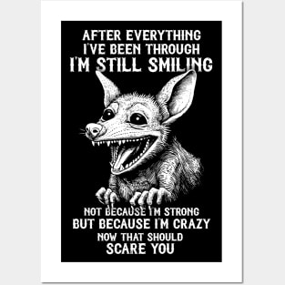 Possum Meme Humor Posters and Art